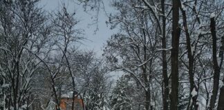 Позакъснялата зима не успя да изненада Куклен