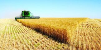 ДФЗ съфинансира с 1.5 млн. лева застраховането на земеделска продукция