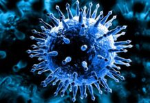 154 са новодиагностицираните с Ковид 19 в област Пловдив за последните 24 часа