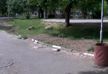 Капковото напояване в парка до Лятното кино е готово – до юни възстановяват тревните площи