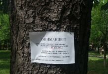 Започна пръскането срещу кърлежи в Асеновград – първо третират големите паркове