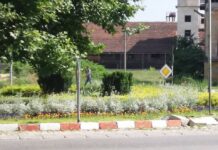 Защо отлагат с около месец засаждането на цветя и друга растителност в Асеновград