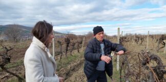 Навръх Трифон Зарезан зарязаха лозите в град Куклен