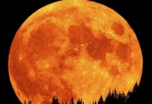 Задава се специална Супер Луна на 8-ми април: желанията ни ще бъдат чути