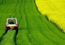 Ненавършили 40 години земеделски стопани получиха над 3,7 млн. лева за Кампания 2019