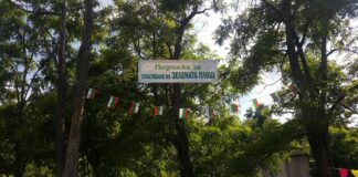 Пореден протест в защита на зелени площи в Асеновград