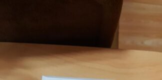 ОбС-Асеновград отпусна пари за закупуване на електронна система за гласуване в сръбския Димитровград