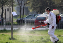 График на обработките срещу комари и кърлежи в Пловдив през август