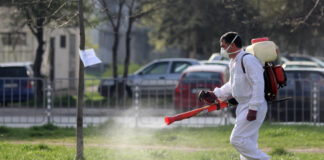 График на обработките срещу комари и кърлежи в Пловдив през август