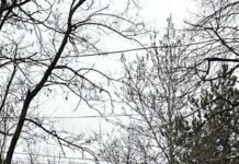 Утре започва II етап от ремонта на ул. „Пирин“ в Асеновград