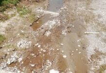 Откриха тялото на 54-годишен мъж в коритото на Чая