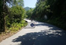 Ще бъде ли удължена забраната за движение на тежкотоварни автомобили по пътя за и след Асеновата крепост