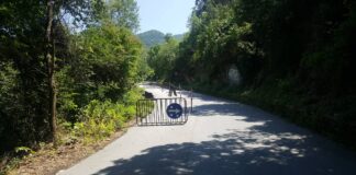 Ще бъде ли удължена забраната за движение на тежкотоварни автомобили по пътя за и след Асеновата крепост