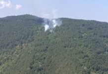 Два горски пожара в Асеновсградско вдигнаха на крак пожарникари и доброволци, гаси се и с хеликоптер