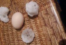 Село Стоево е сред най-засегнатите от вчерашната градушка