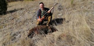 От 1-ви октомври откриват лова на диви прасета