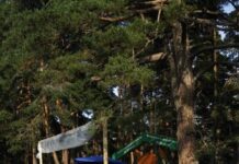 Поредни отличия за талантите от музикална школа „Станимака“