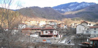 Бачково на сухо в четвъртък