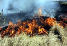 Не палете сухи треви и стърнища!