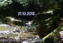 Дивото зове утре в Асеновград