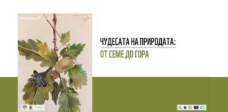 „Чудесата на природата: от семе до гора“