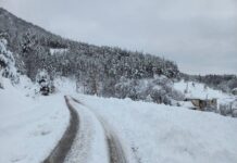 До метър сняг падна снощи в с. Мостово и Врата, спря токът в с. Косово Снегопочистване