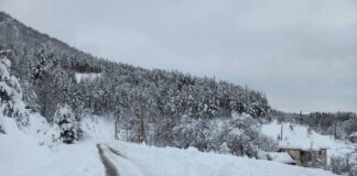 До метър сняг падна снощи в с. Мостово и Врата, спря токът в с. Косово Снегопочистване