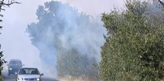 Пожар гори край село Мулдава