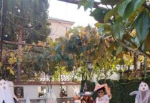 В духа на Хелуин започна новата учебна година за мини Арт школата „Декорирани творения” в Асеновград