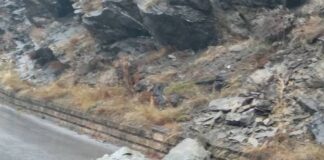 Пореден случай на свлечената земна маса по пътя за Асеновата крепост