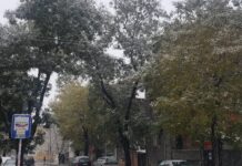 Пътната обстановка в Асеновград след първия снеговалеж