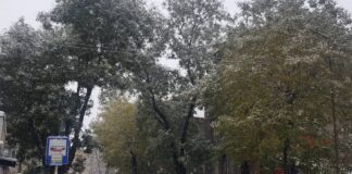 Пътната обстановка в Асеновград след първия снеговалеж