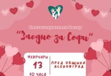 Благотворителен базар -„Заедно за Софи“, организират от Общински младежки съвет – Асеновград