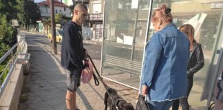 Проверяват имат ли чип домашните кучета