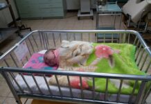 Роди се първото за 2019-та година бебе в асеновградската болница