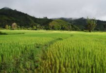 Стопаните получиха над 4 млн. лева за площи с висока природна стойност