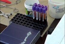 Кампания по кръводаряване в Асеновград