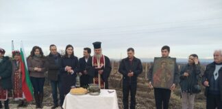 Зарязаха лозите в Куклен