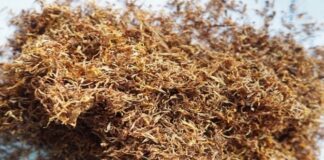 Иззеха 5 килограма нарязан тютюн без бандерол от жилището на асеновградчанка