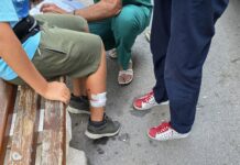 Домашно куче ухапа дете в Асеновград