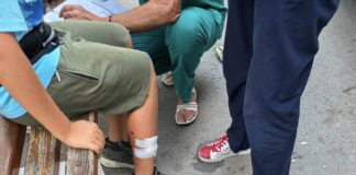 Домашно куче ухапа дете в Асеновград