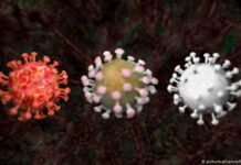 Излекуваните от COVID-19 у нас вече са близо 600 лица