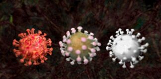 Нови 23 случая на COVID-19 у нас