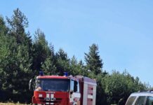 Пожар възникна в гората над с. Добростан