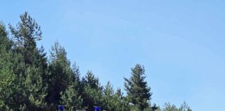 Пожар възникна в гората над с. Добростан