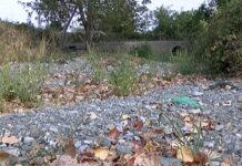 Община Асеновград ще търси финансиране за почистване на наносите в Аман дере