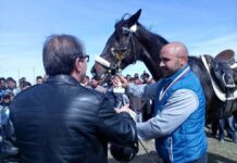 Шериф Садък с кобилата Клея стана първи на кушията в Асеновград