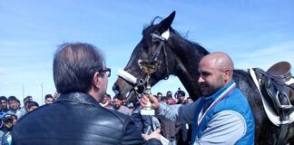 Шериф Садък с кобилата Клея стана първи на кушията в Асеновград