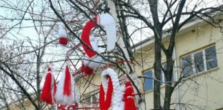 В асеновградския квартал „Горни Воден“ организират изложба, посветена на пролетта