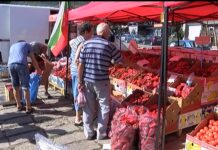 Цените на зеленчуците за зимнина на асеновградския пазар – без промяна от миналогодишните